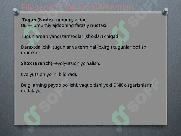 Filogenetik daraxt biologiya 5