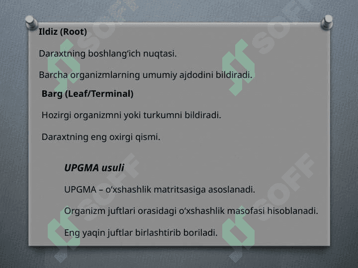 Filogenetik daraxt biologiya 6