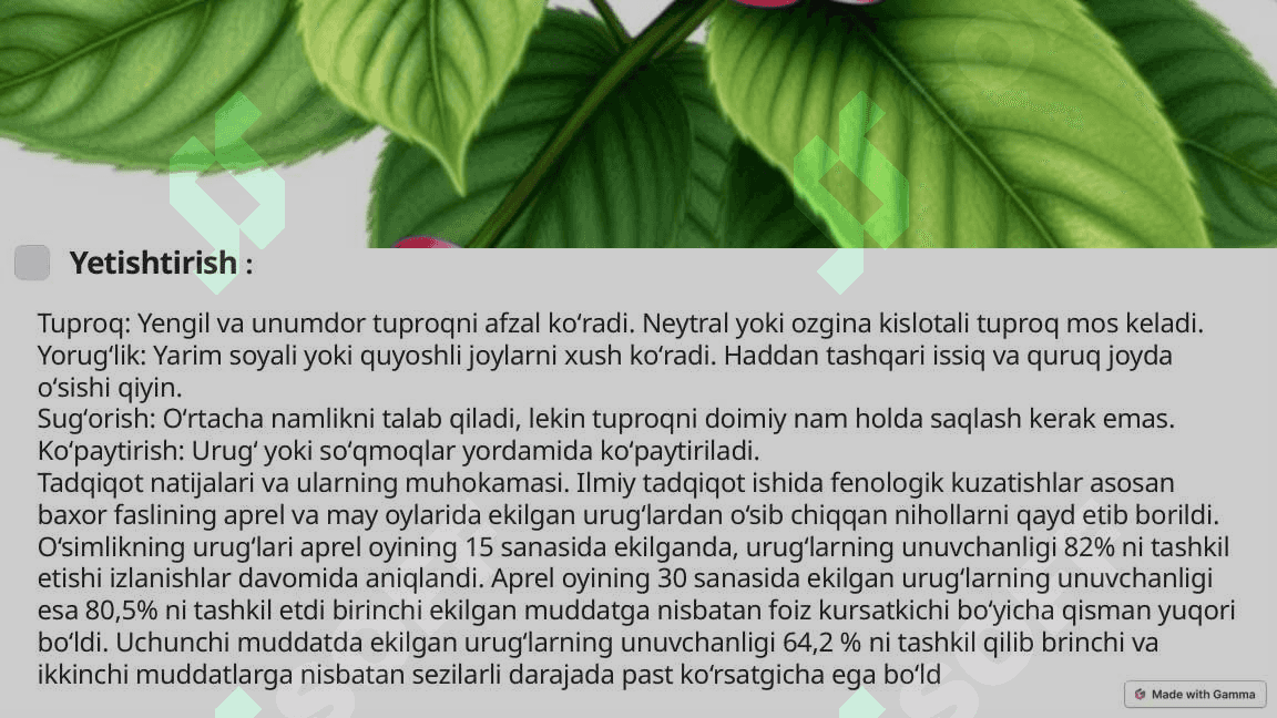 Impatiens Balsamina oʼsimligi haqida umumiy malumot 4