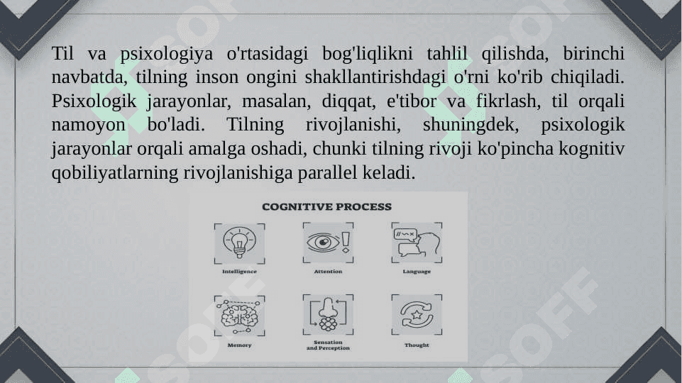 Til va oliy psixologik funksiyalar bog’liqligi. 5