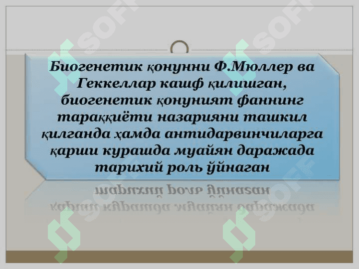 Шахс. Темперамент ва характер. Қобилият. 8