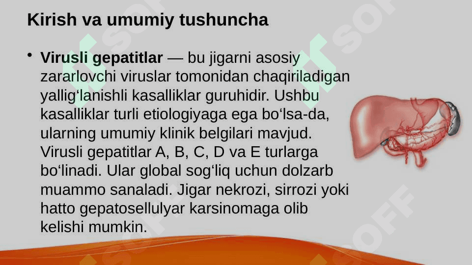 Virusli gepatitlar 2
