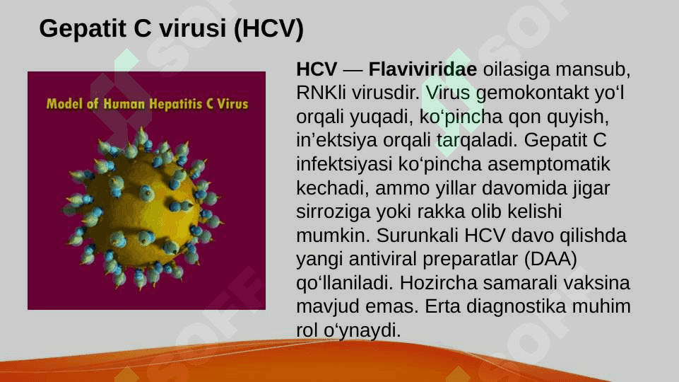 Virusli gepatitlar 6