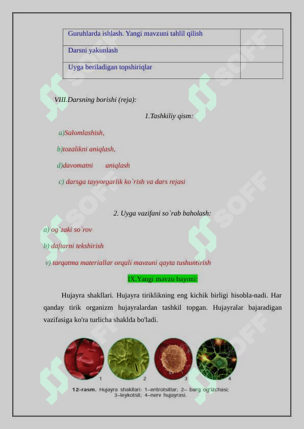 4 §. Hujayra tiriklikning asosi dars ishlanma 5 sinf biologiya 2
