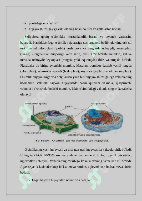 4 §. Hujayra tiriklikning asosi dars ishlanma 5 sinf biologiya 4