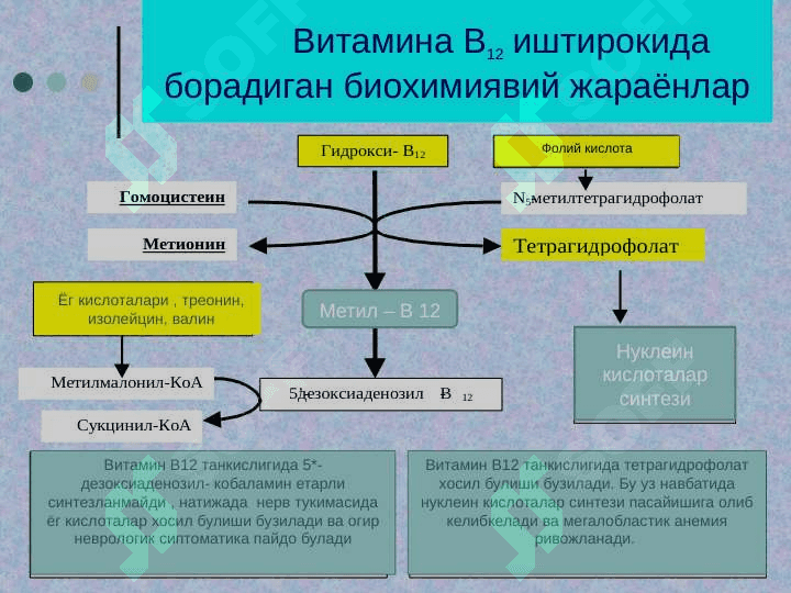 Мегалобласт анемиялар 4