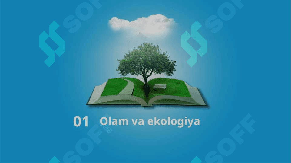 Matnni qisqartirish. Olam va ekologiya 3