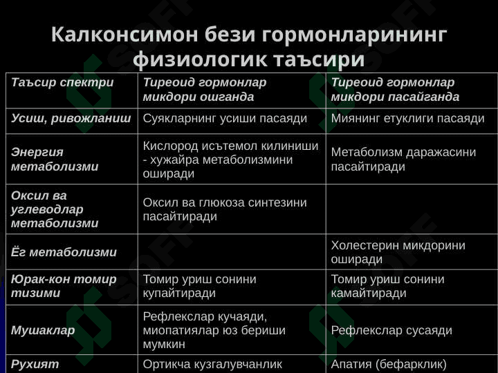 Калконсимон без: гормонларининг синтези ва биологик таъсири 3