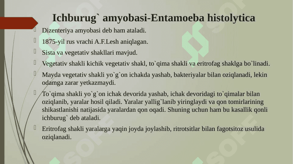 Ichburug‘ amyobasi va ichak balantidiyasi 3