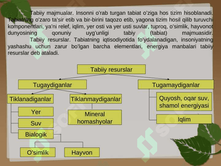 Atrof muhit va uning tozaligini saqlash 3