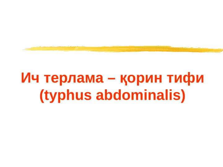 Ич терлама – қорин тифи (Typhus abdominalis)