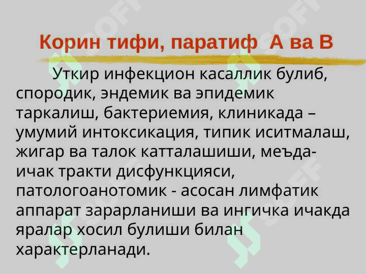 Ич терлама – қорин тифи (Typhus abdominalis) 3