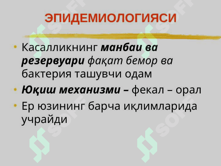 Ич терлама – қорин тифи (Typhus abdominalis) 7