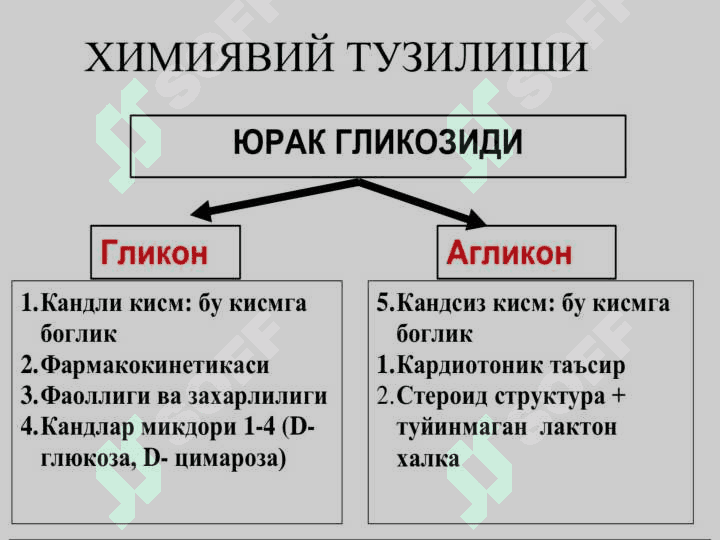 Yurak glikozidlarining kimyoviy tuzilishi va ahamiyati 5