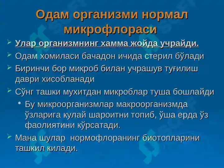 Одам танаси нормал микрофлораси 3