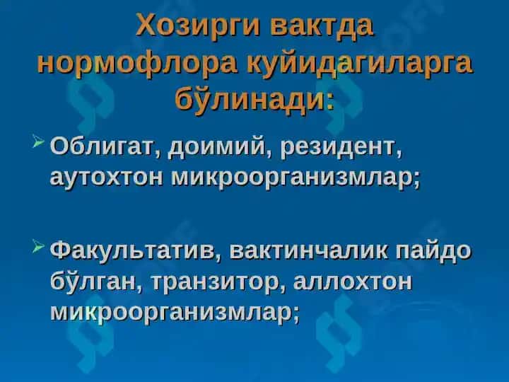 Одам танаси нормал микрофлораси 6