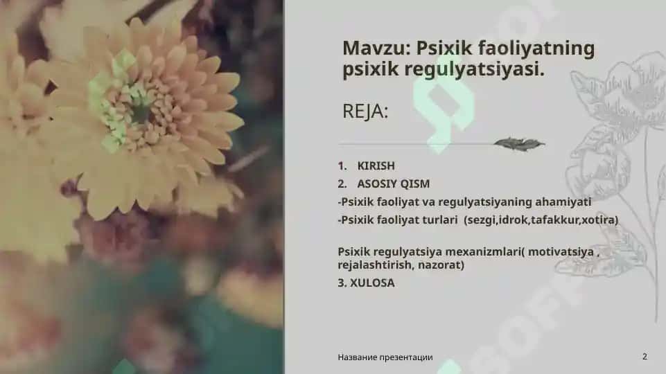 Psixik faoliyatning psixik regulyatsiyasi 2