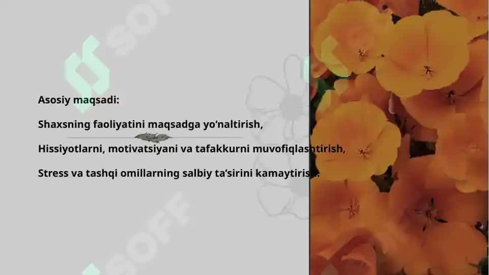 Psixik faoliyatning psixik regulyatsiyasi 4