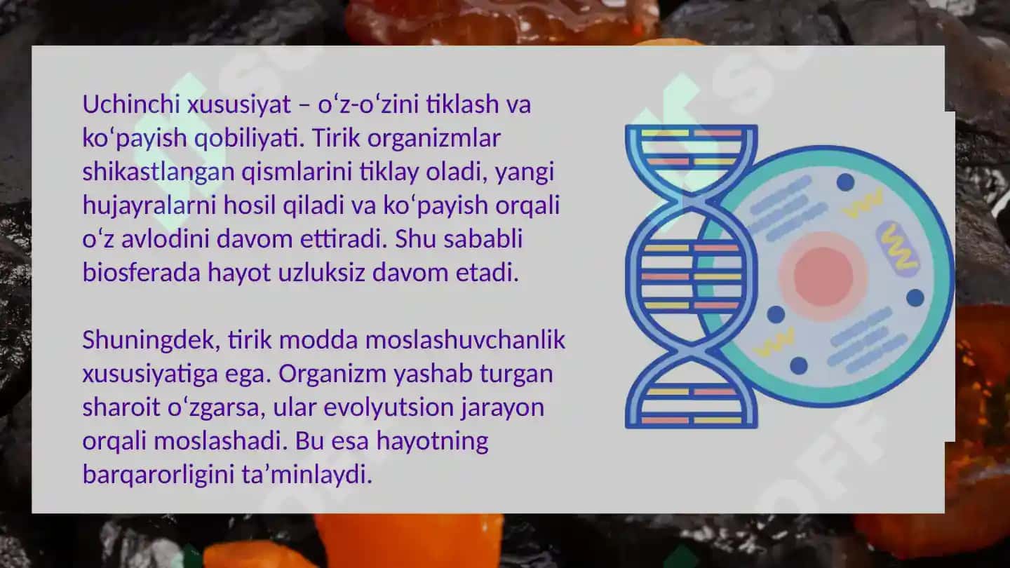 Biosferadagi tirik moddaning xususiyatlari va funksiyalari 6