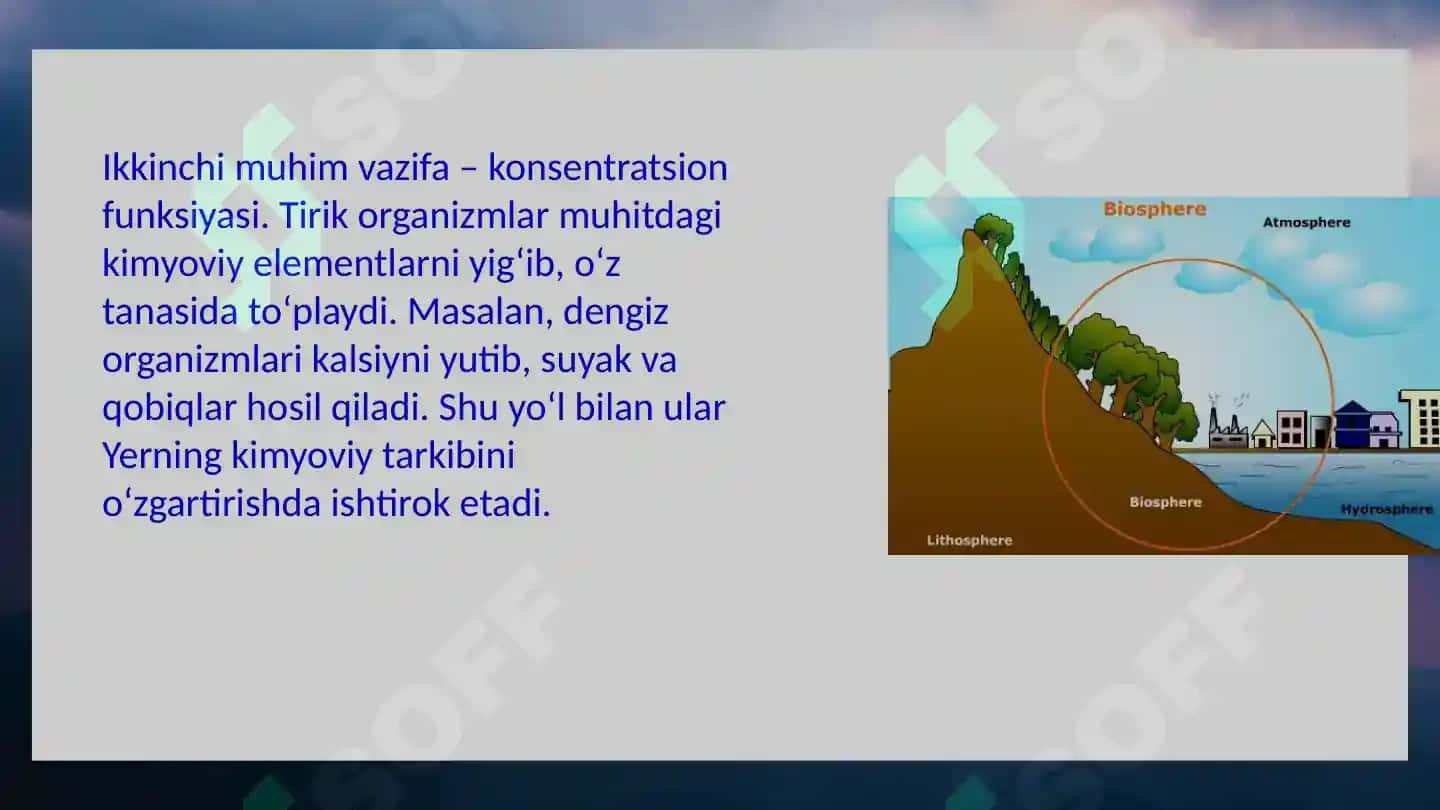 Biosferadagi tirik moddaning xususiyatlari va funksiyalari 8