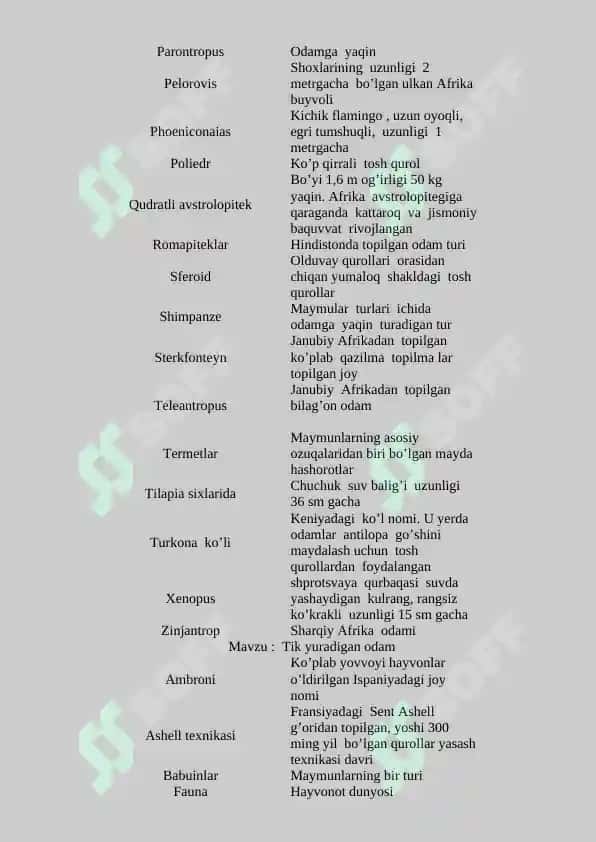 Ibtidoiy  jamoa  tarixiga atamalar 6