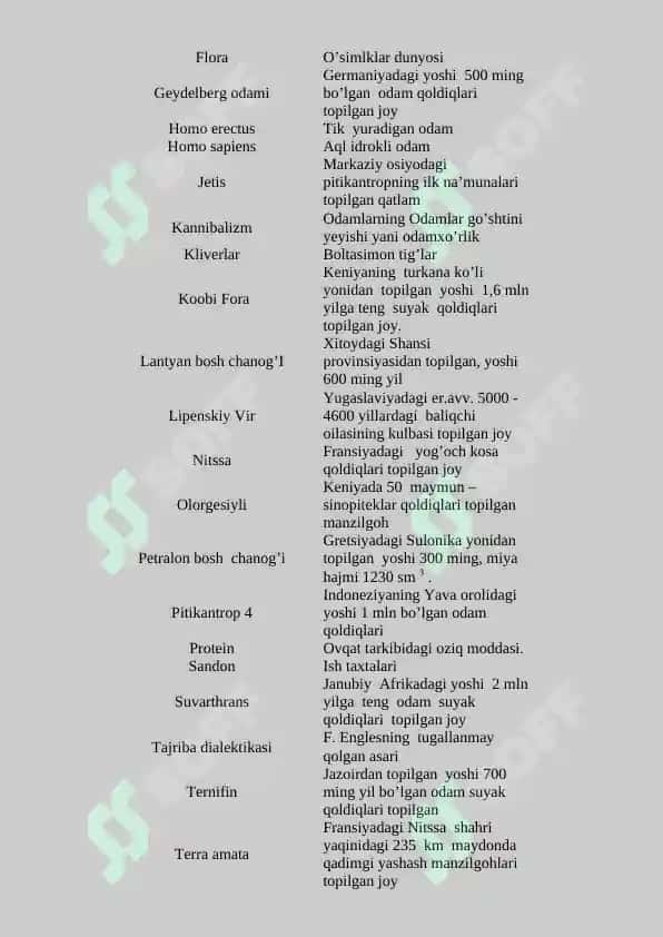 Ibtidoiy  jamoa  tarixiga atamalar 7
