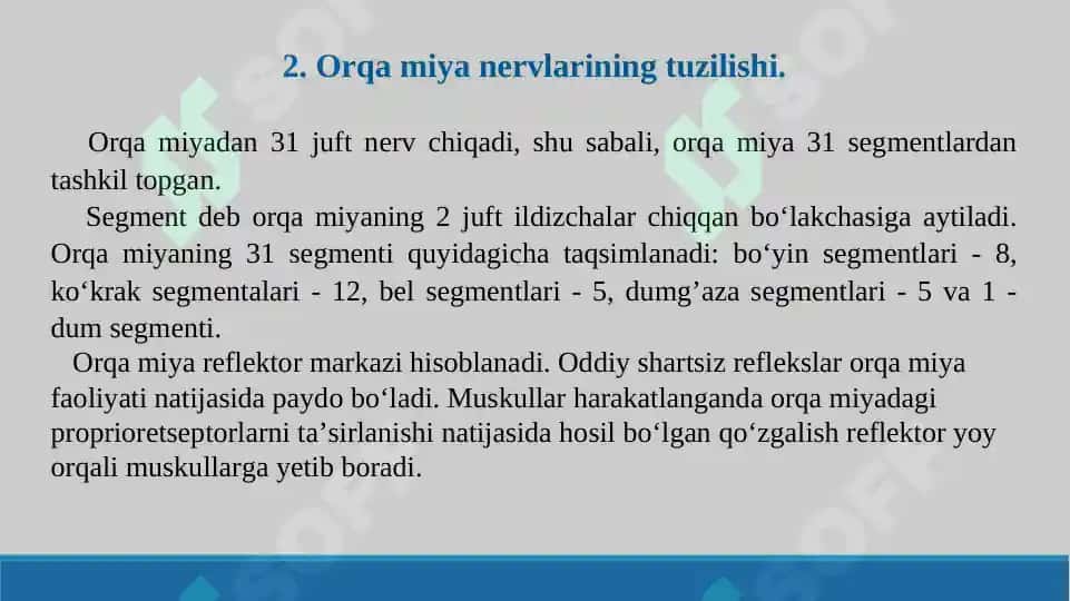 Orqa miya o’tkazuv yo’llari. Taqdimot 19 bet. 5