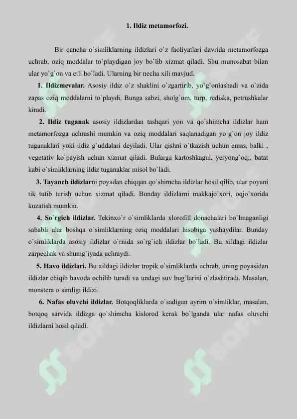 Ildiz, poya va barg metamorfozi. Referat 6 bet. 2
