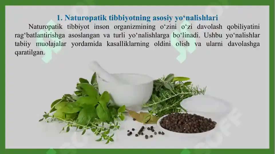 Naturopatik tibbiyotning asosiy yo‘nalishlari, tamoyillari va ularning amaliy qiymati. Taqdimot 30 bet 2