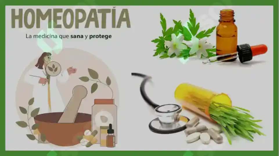 Naturopatik tibbiyotning asosiy yo‘nalishlari, tamoyillari va ularning amaliy qiymati. Taqdimot 30 bet 8