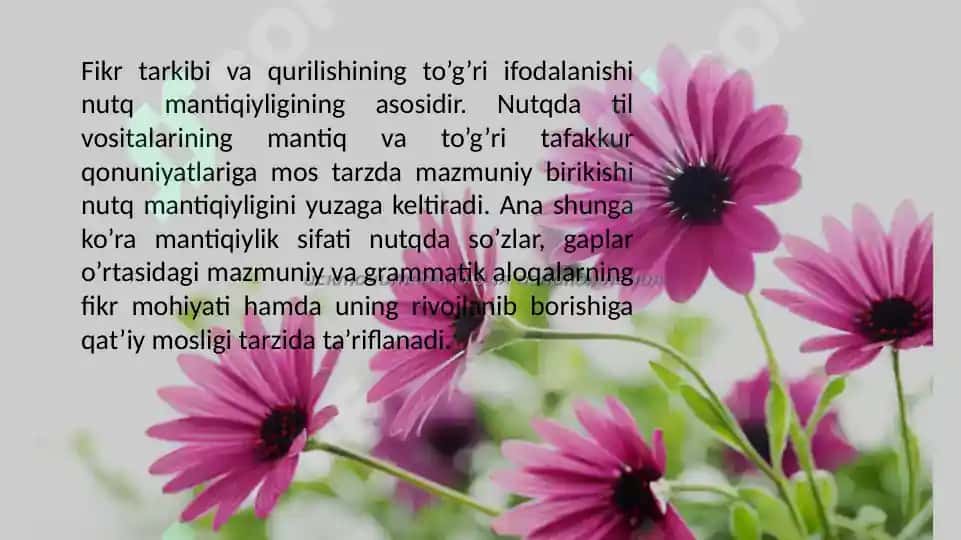 Nutqning Mantiqiyligi 3