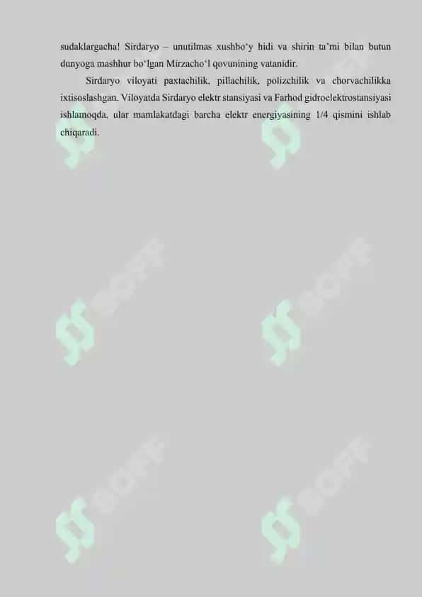 Sirdaryo viloyati va Mustafo Cho’qay 7