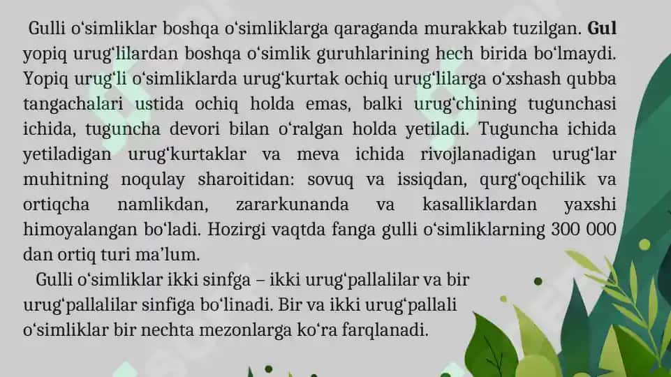 1.5. Urug'li o'simliklar mavzusida  ochiq dars taqdimoti. 6