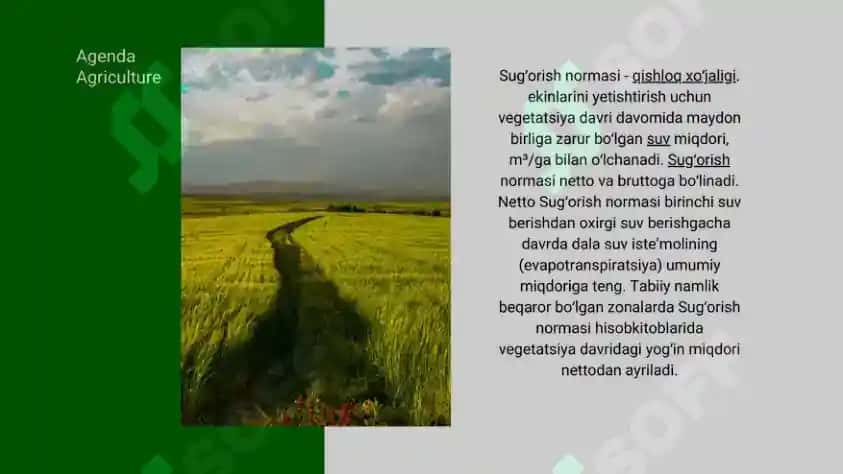 Ekinlarning suvga bo'lgan talabini o'rganish, cheklangan nam sig'imi va u asosida sug'orishni belgilash 3