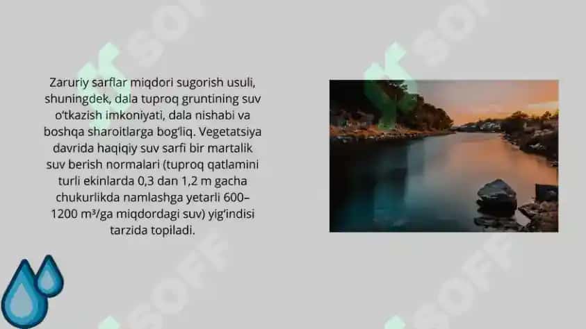 Ekinlarning suvga bo'lgan talabini o'rganish, cheklangan nam sig'imi va u asosida sug'orishni belgilash 5