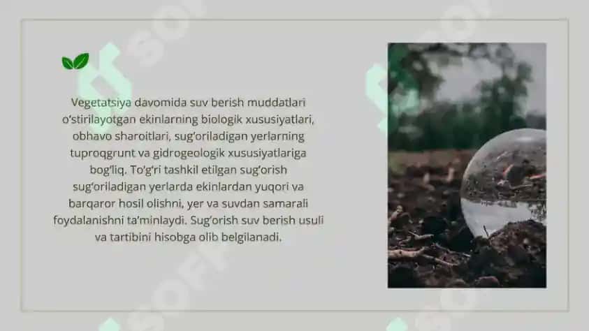 Ekinlarning suvga bo'lgan talabini o'rganish, cheklangan nam sig'imi va u asosida sug'orishni belgilash 7