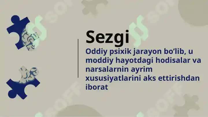 Sezgi 2