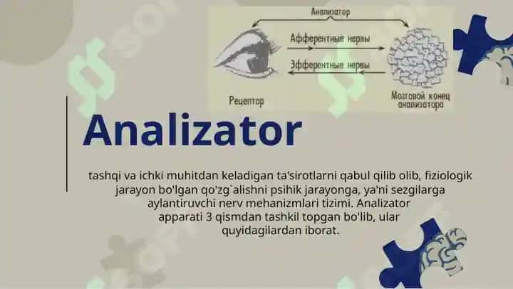 Sezgi 3