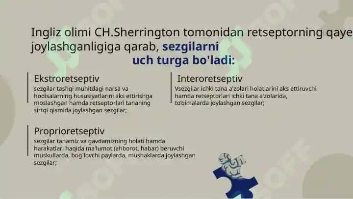 Sezgi 6
