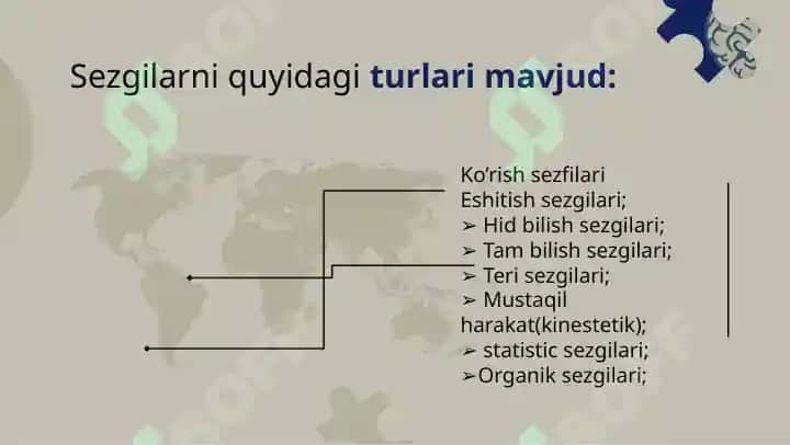 Sezgi 7