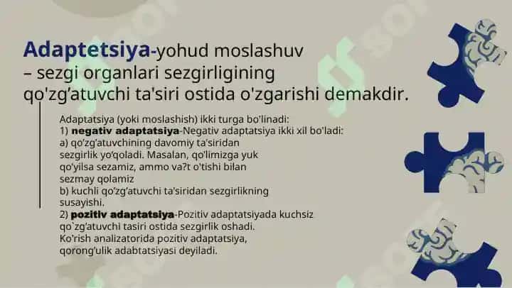 Sezgi 8