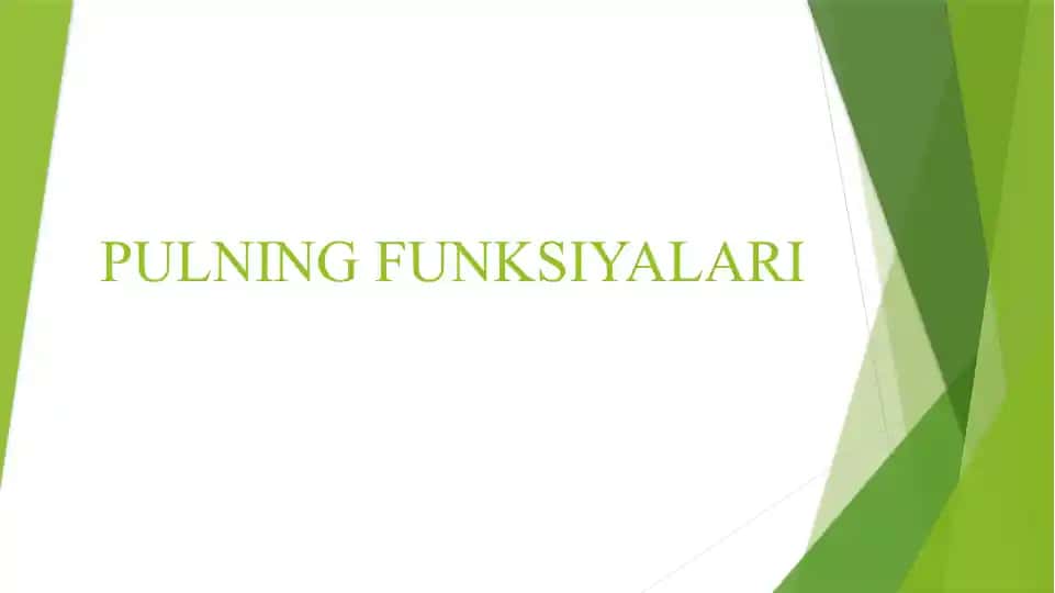 PULNING FUNKSIYALARI