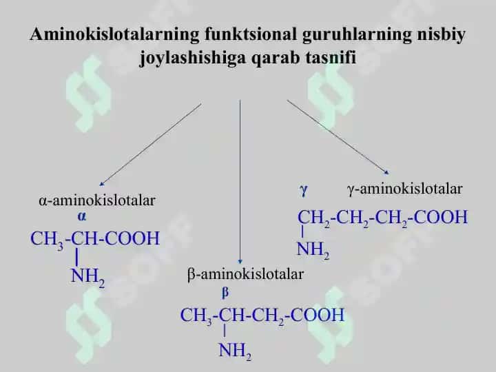 Aminokislotalar. Tuzilishi, xossalari va biologik vazifalari. Peptid va oqsillar. Oqsillarning fazoviy konformatsiyalari. Peptid va oqsillarning funksiyalari. Oqsillarning fizik-kimyoviy xossalari. 3