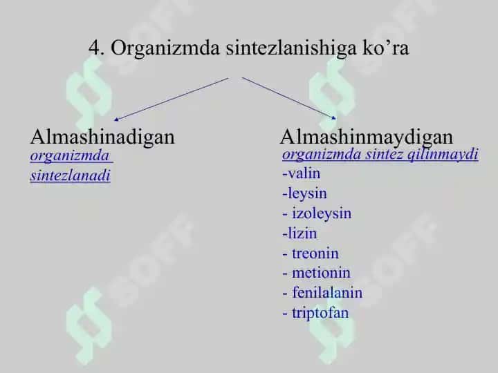 Aminokislotalar. Tuzilishi, xossalari va biologik vazifalari. Peptid va oqsillar. Oqsillarning fazoviy konformatsiyalari. Peptid va oqsillarning funksiyalari. Oqsillarning fizik-kimyoviy xossalari. 6