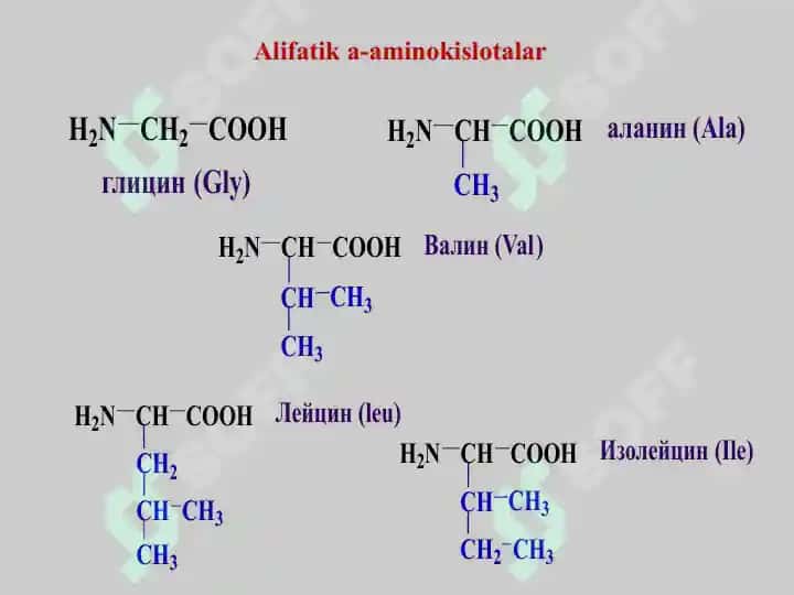 Aminokislotalar. Tuzilishi, xossalari va biologik vazifalari. Peptid va oqsillar. Oqsillarning fazoviy konformatsiyalari. Peptid va oqsillarning funksiyalari. Oqsillarning fizik-kimyoviy xossalari. 7