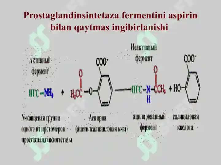 Fermentlar faolligini boshqarilishi 7