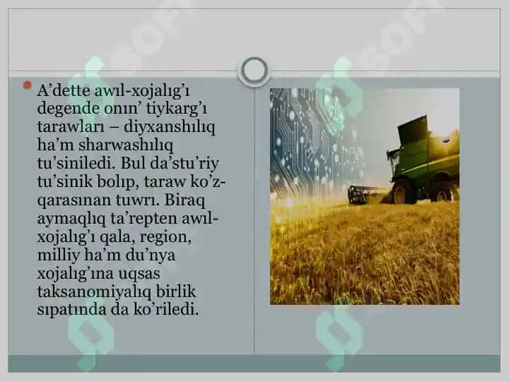 Geografiya tálim bağdarı 3