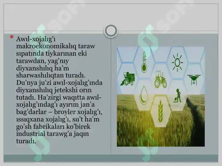 Geografiya tálim bağdarı 4