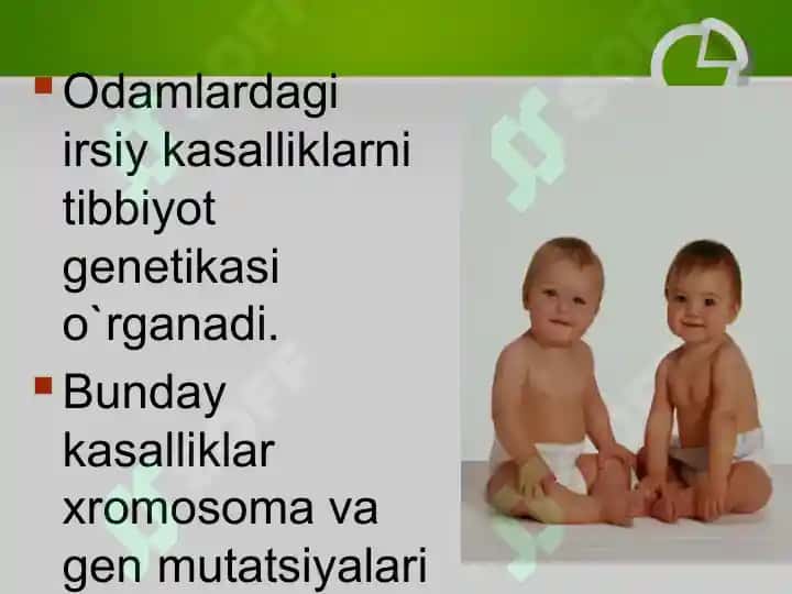 Irsiy kasalliklar va ularning oldini olish 2