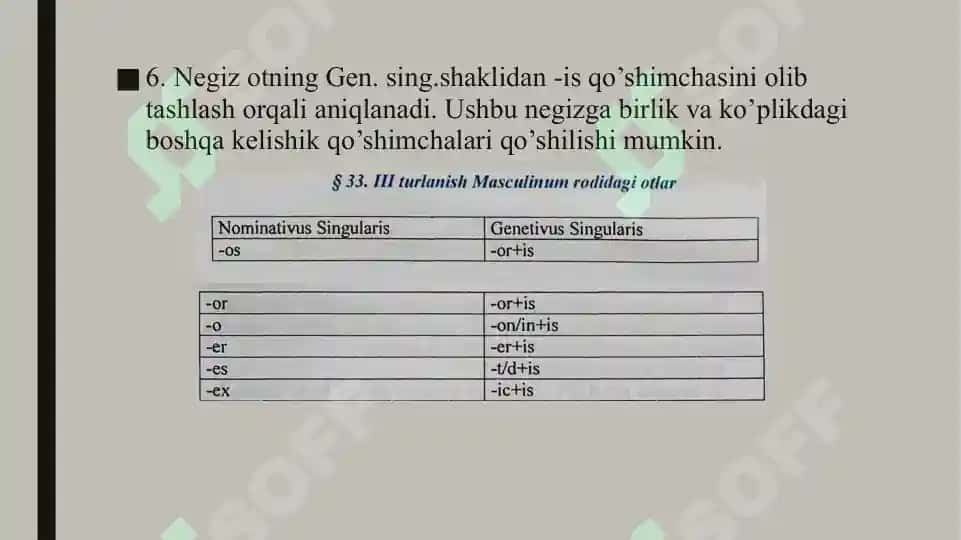 III turlanishdagi otlar. Genus masculinum. Genus femininum. Genus neutrum 6